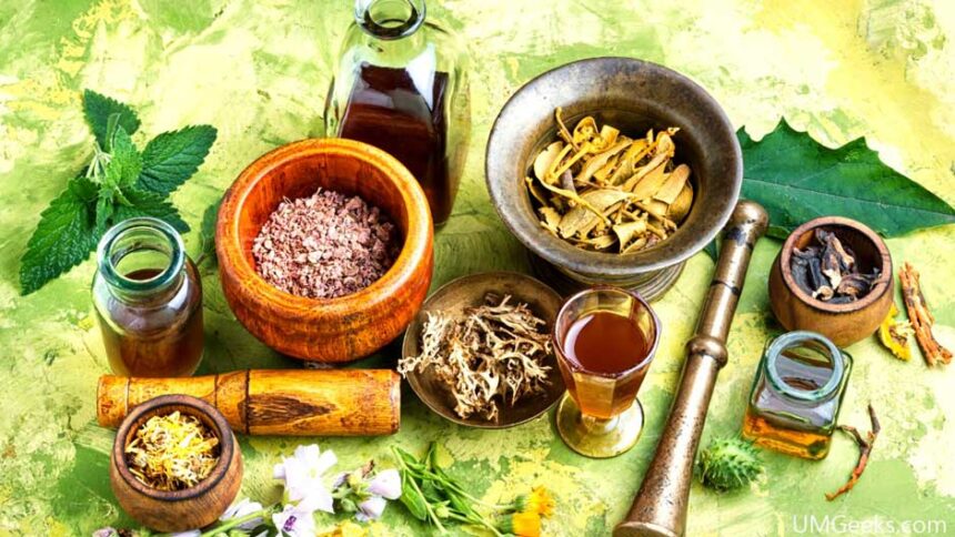 Herbciepscam: The Complete Guide to Understanding and Exploring Its Benefits