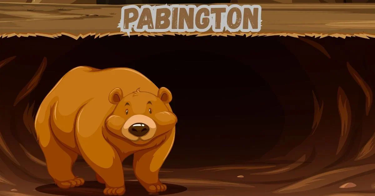 Pabington The Story, Vision, and Innovation Behind a Modern Brand