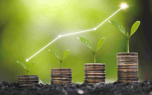 Inside the Controversy of a Rising Eco-Finance Platform