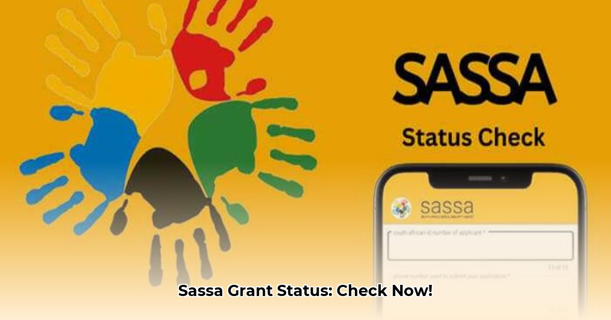 SRD Status Check, How to Check Your SASSA SRD R370 Grant Status Quickly and Correctly