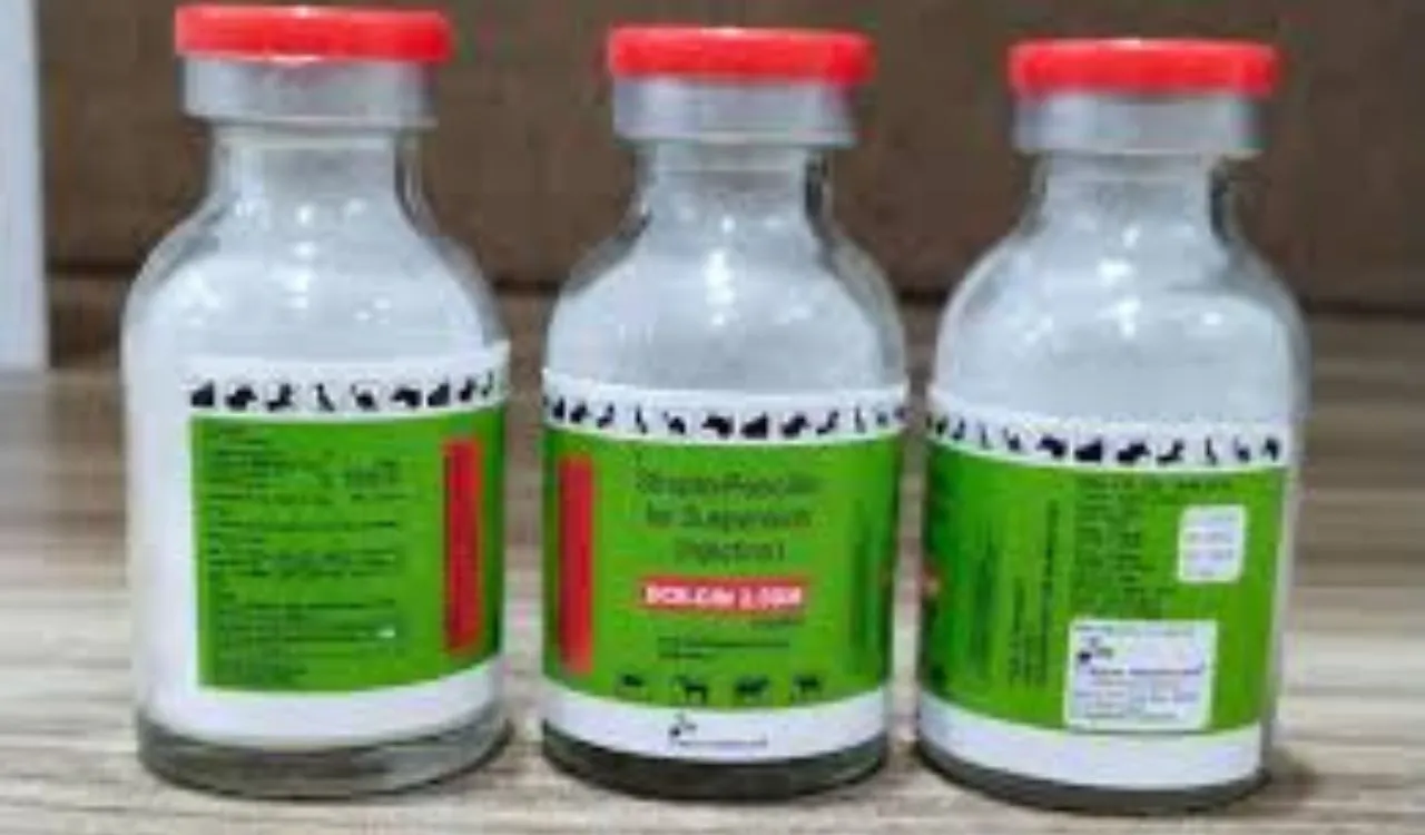 Strepto Penicillin Complete Guide: Uses, Dosage Benefits, and Veterinary Applications