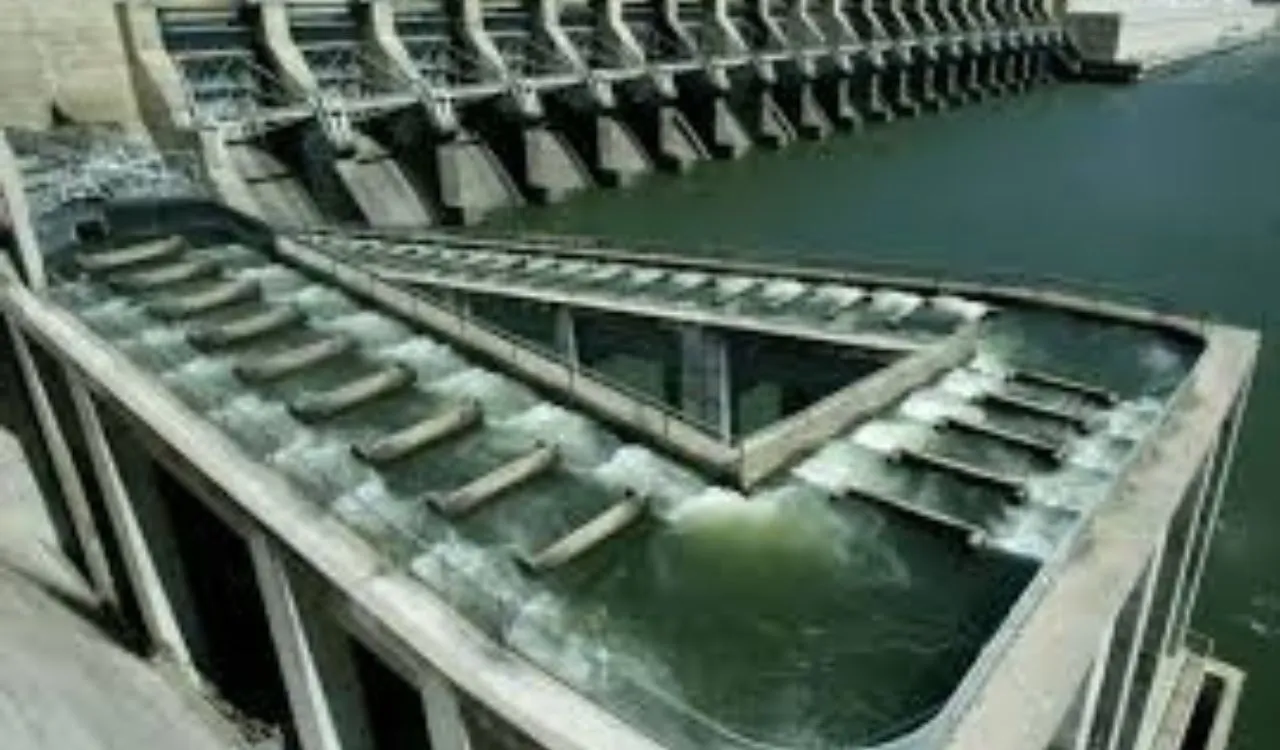 Why Fisher Ladders Are Important and How They Save Fish Life Why Fisher Ladders Are Important and How They Save Fish Life