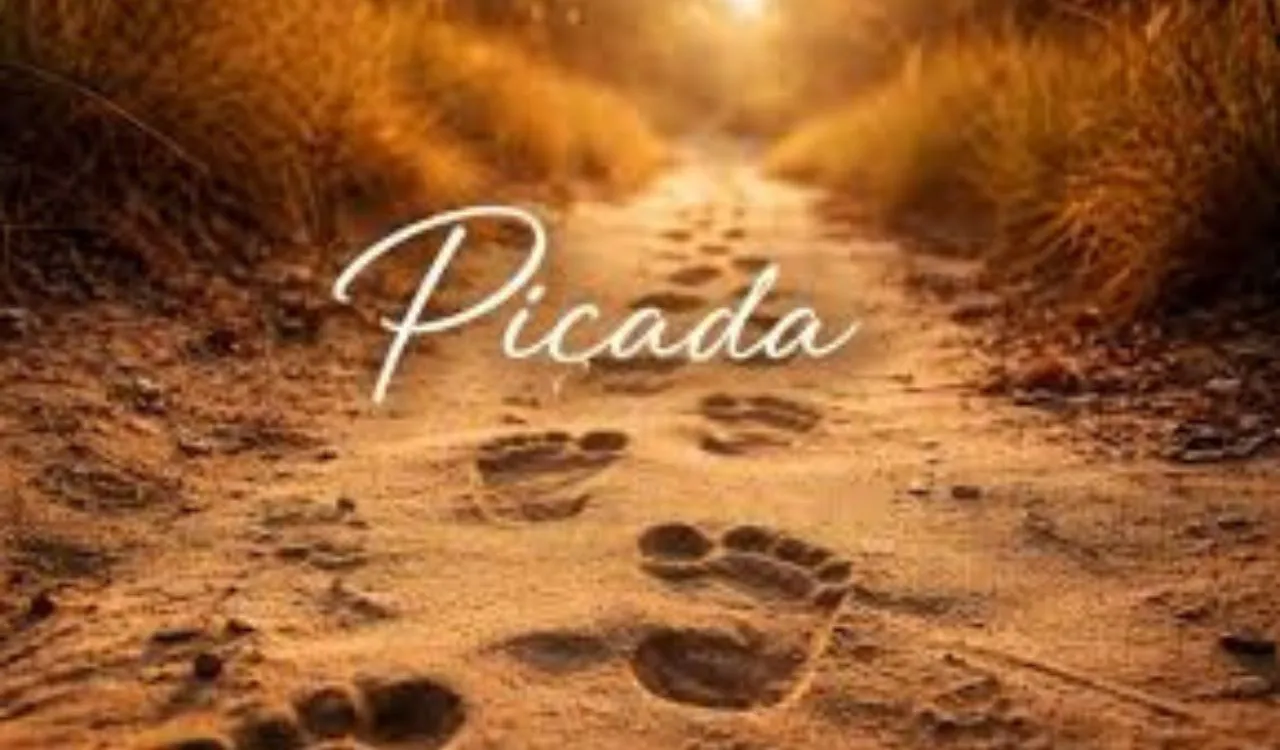 What is Piçada and Why It Has Multiple Meanings You Should Know