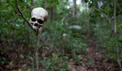 tomb of annihilation disclaimer