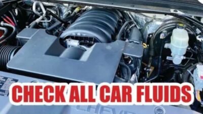 how to check car fluids
