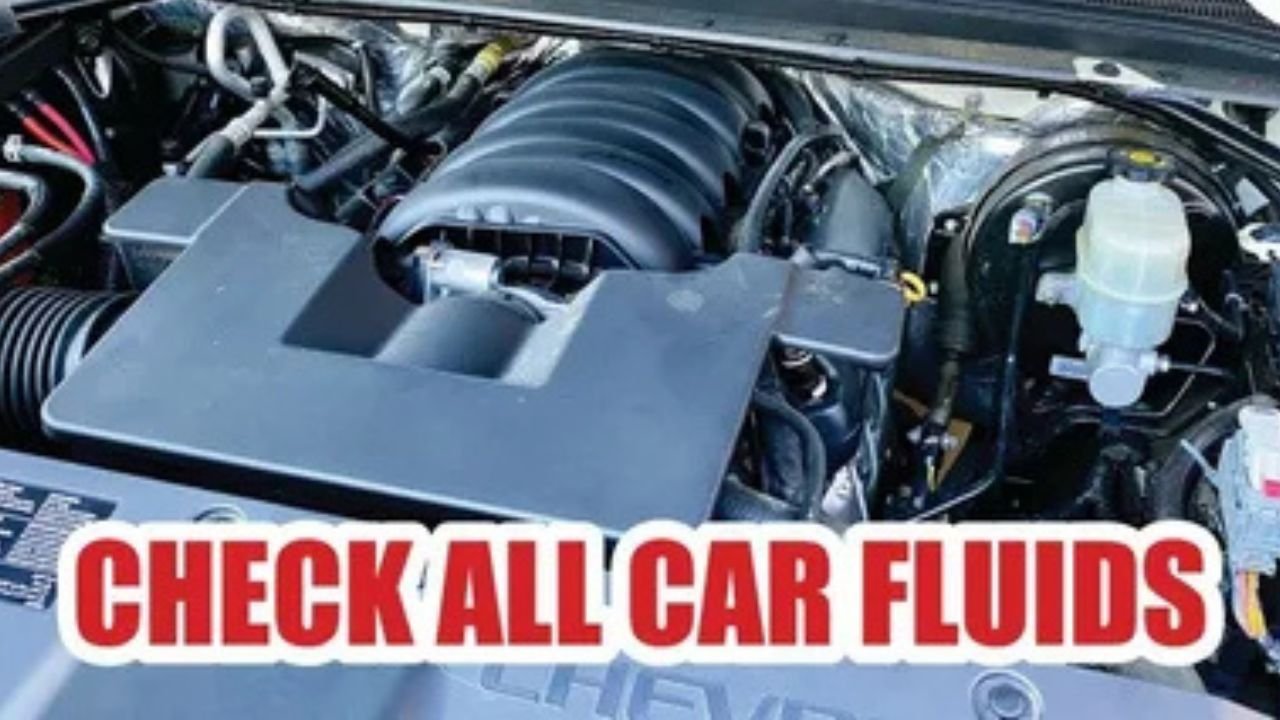 Complete Vehicle Fluid Inspection and Maintenance Guide