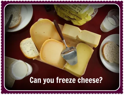 Can You Freeze Cheese? A Practical Guide to Freezing It Properly