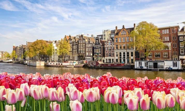 Best Places to Visit in Spring: 15 Beautiful Destinations Around the World