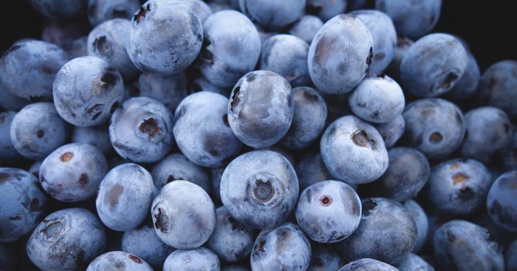 Spain Blueberry Industry: Production, Varieties, Growing Regions & Export Guide