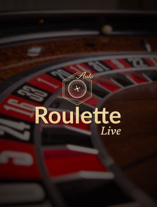 Overview of spinfin casino login